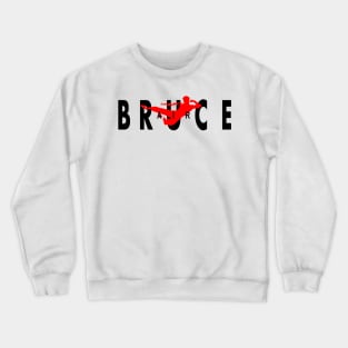 Air Bruce Crewneck Sweatshirt